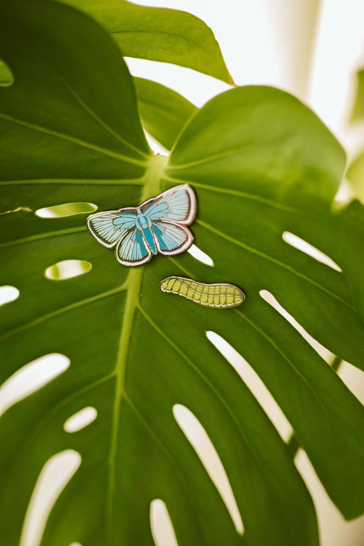 Karner Blue Butterfly Pin Set