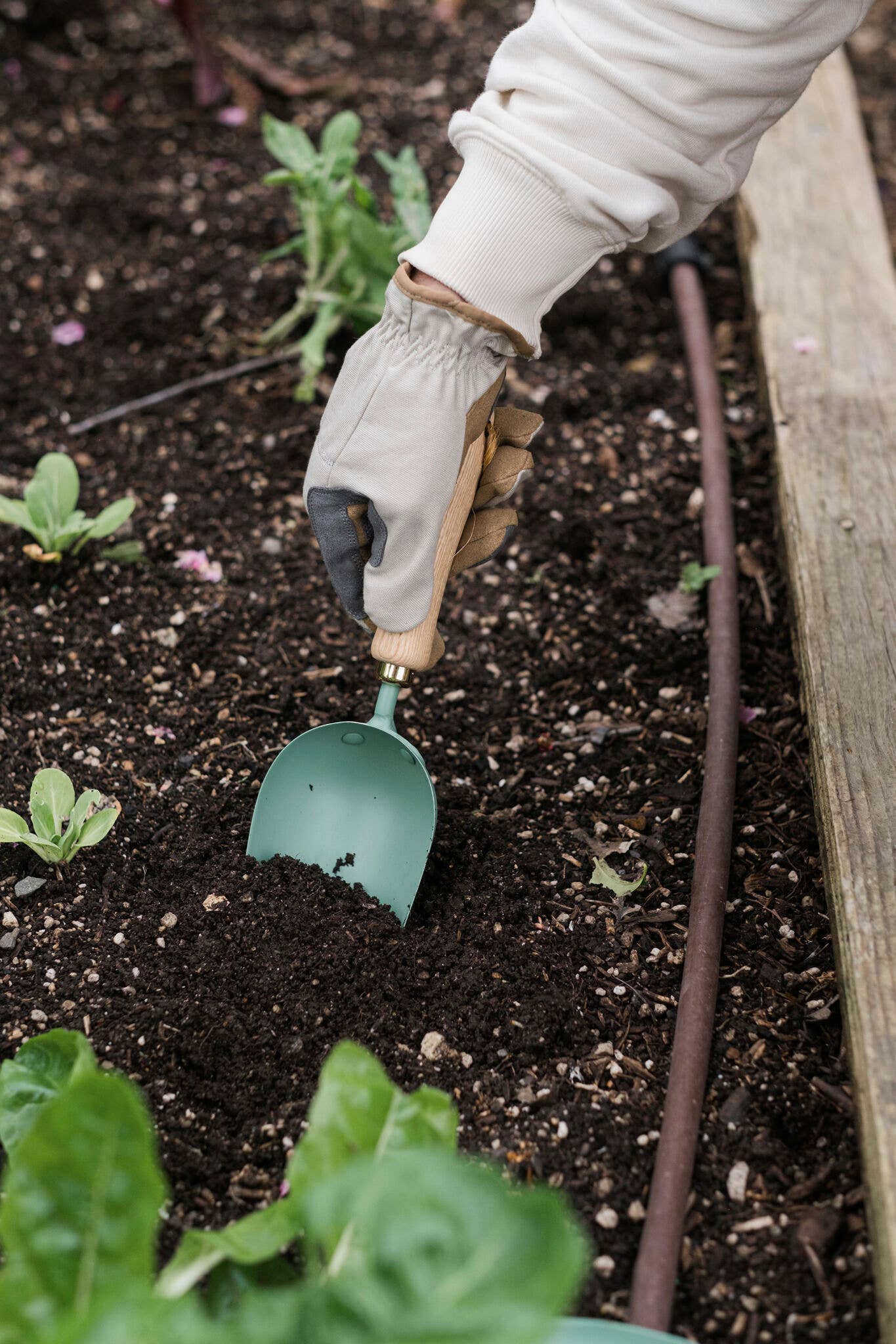 Garden Scoop: Walnut/Black