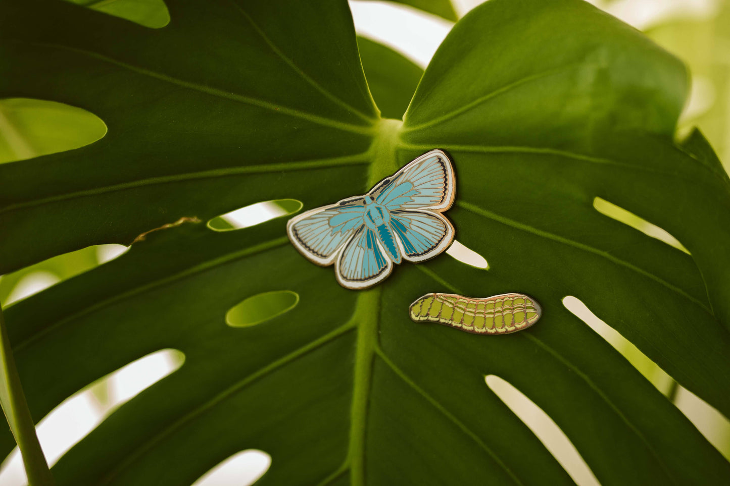 Karner Blue Butterfly Pin Set