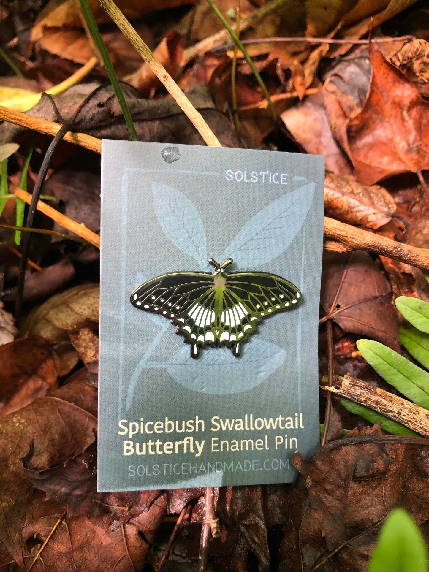 Spicebush Swallowtail Butterfly Pin